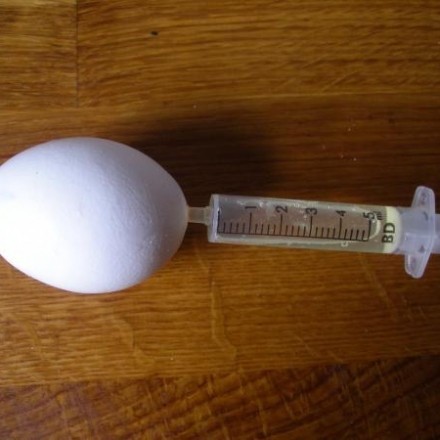 Eier mit der Einwegspritze aussaugen statt ausblasen