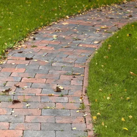 Herbstlaub mit Industriestaubsauger wegsaugen