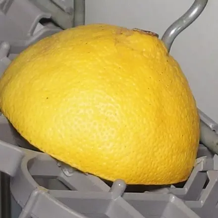 Geruchsbeseitigung im Geschirrspüler mit Orangen/Zitronen