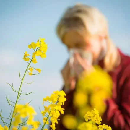 Hausmittel gegen Heuschnupfen und Pollenallergie