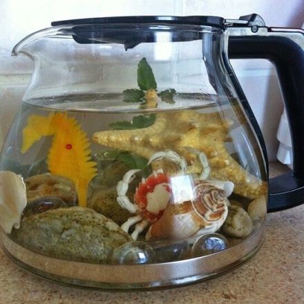 Küchendeko - Kaffeekannen Aquarium