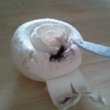 Champignons schnell und trocken putzen