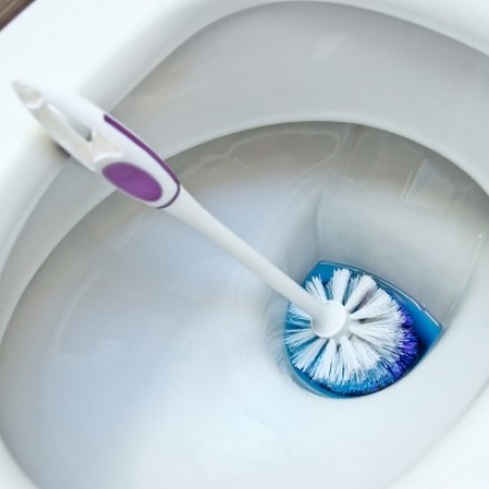WC-Bürste sauber halten und reinigen