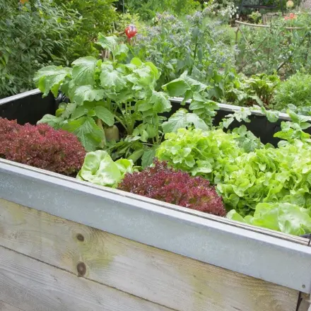 Hochbeet selber bauen