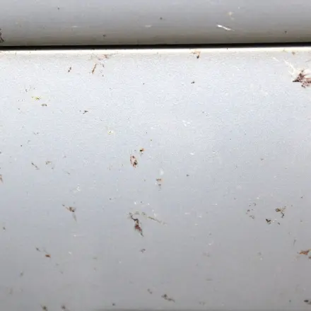 Babyfeuchtücher gegen Schmutz auf dem Lack