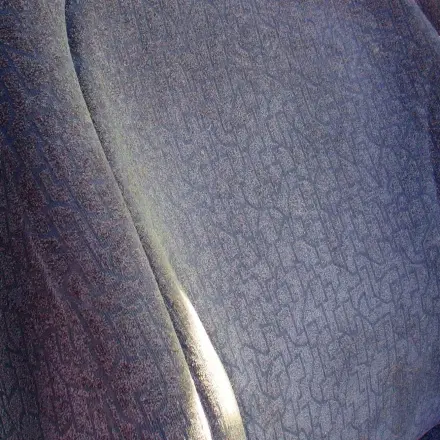 Autositze mit Rasierschaum reinigen