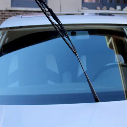 Baumharz leicht entfernen mit Enteiserspray