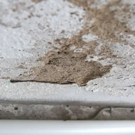 Abplatzen von Wand- und Deckenanstrichen vermeiden