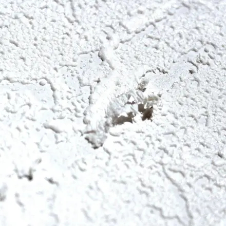 Kleine Kratzer in der Rauhfasertapete?