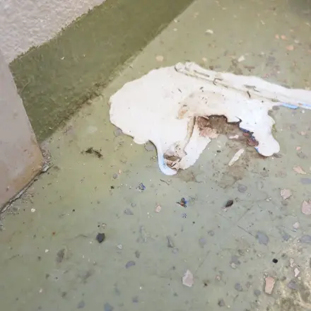 (Parkett-) Fußböden beim Bauen mit Kunstrasen schonen