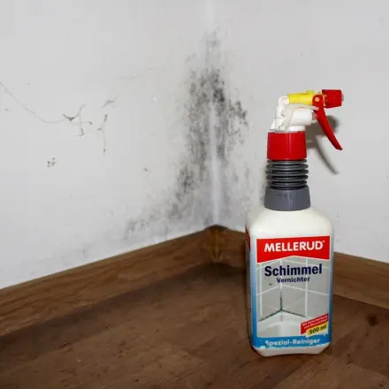 Schimmel auf Mauern bekämpfen mit Schimmelspray