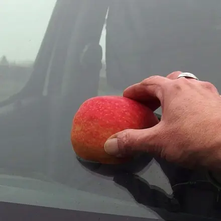 Defekter Scheibenwischer: Scheibe mit Apfel einreiben