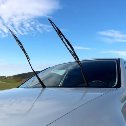 Kleber auf der Autoscheibe