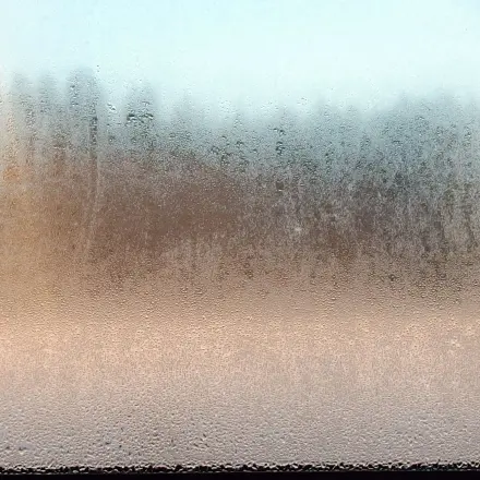 Beschlagene Scheiben im Auto