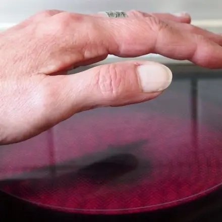 Knoblauchgeruch beim Kochen schnell & unkompliziert entfernen