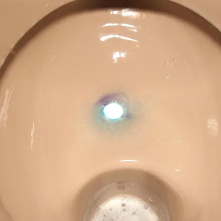 Waschbecken, Dusche & Toilette: Gerüche & Ablagerungen