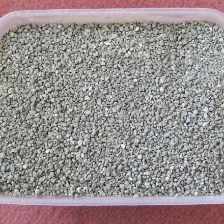 Katzenstreu gegen Feuchtigkeit im Auto