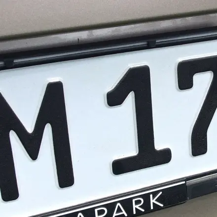 Insekten auf Stoßstange und Nummernschild verhindern