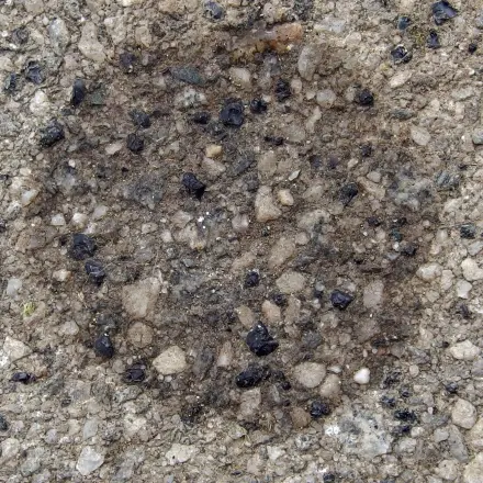 Ölflecken entfernen mit Dosenmilch und Spülmittel