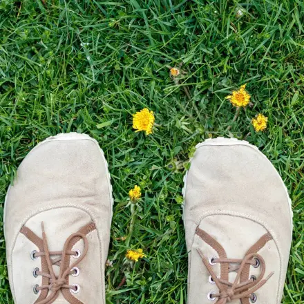 Abnehmtipps für Berufstätige