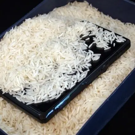 Digitalkamera / Handy im Wasser - erste Hilfe!