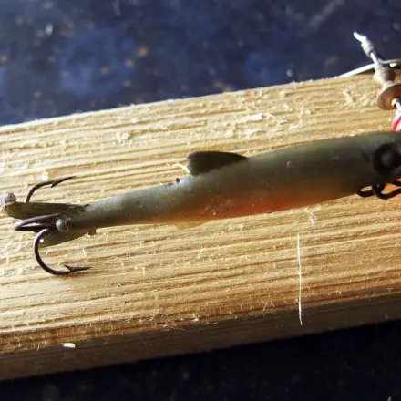 Angelköder mit Zucker für mehr Bisse