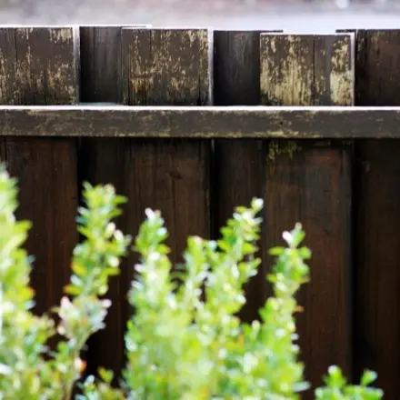 Zäune, Trennwände & andere Holzteile im Außenbereich wiederbeleben