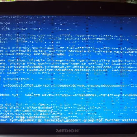 "Bundespolizeivirus" entfernen