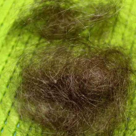 Gegen Marder: Menschliche Haare unterm Auto