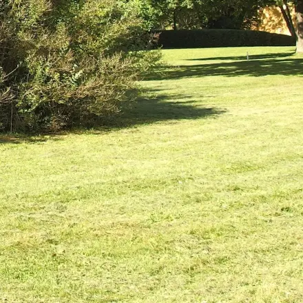 Seltener Rasen mähen und Wasser sparen