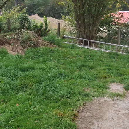 Nachsaat von Rasen mit Blumenerde