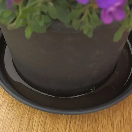 Einpflanzen ohne nervigen Erdverlust