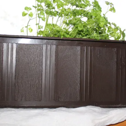 Leere Blumenkästen desinfizieren