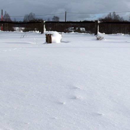 Schnee nicht vom Rasen räumen