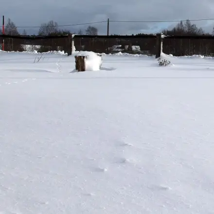 Schnee nicht vom Rasen räumen