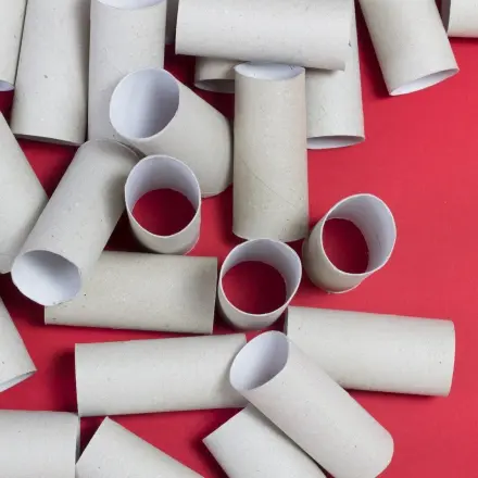 Pflanzen selbst ziehen