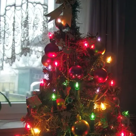 Christbaum weiterverwenden