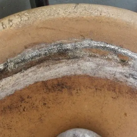 Blumentöpfe aus Ton entkalken ohne Mühe und Kosten