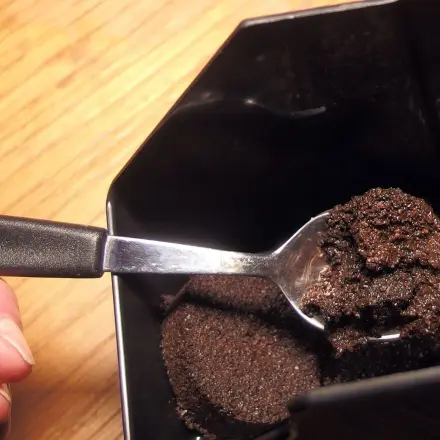 Blatt- und Schildläuse mit Kaffee oder Tee bekämpfen