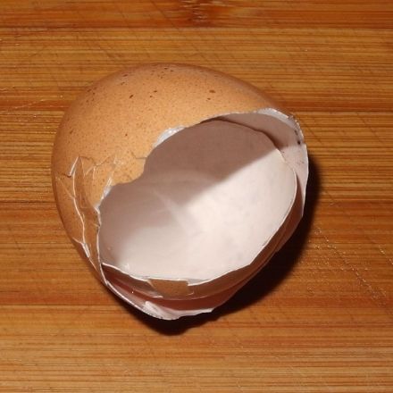 Eierschalen gegen Schnecken