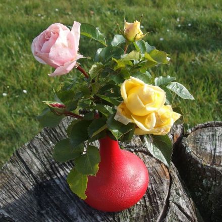 Rosen halten so länger