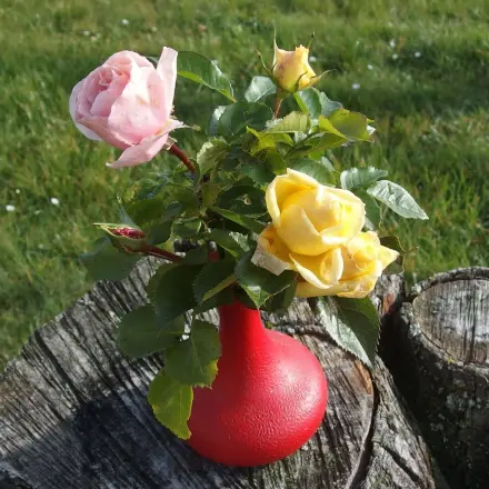 Rosen halten so länger
