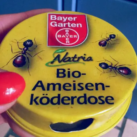 Ameisen vertreiben mit Köderdose