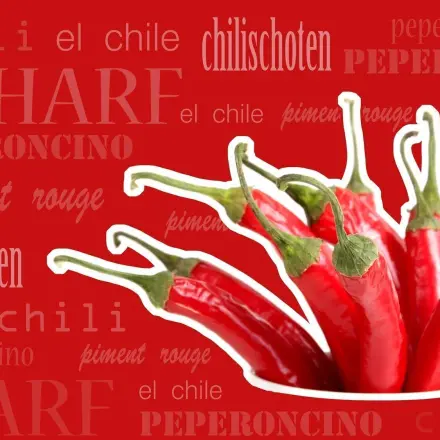 Chilischoten verarbeiten