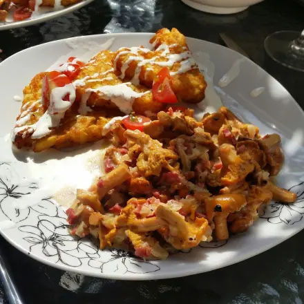 Ein schnelles Pfifferlinge-Gericht