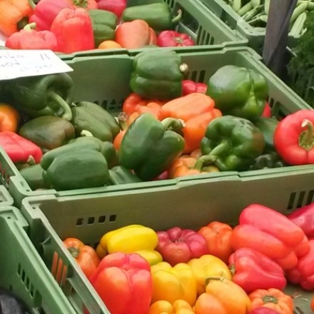 Worin unterscheiden sich grüne, gelbe und rote Paprika?