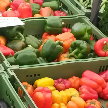 Worin unterscheiden sich grüne, gelbe und rote Paprika?