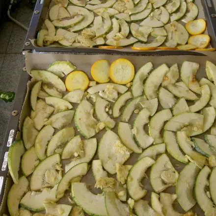 Zucchini-Chips aus dem Backofen