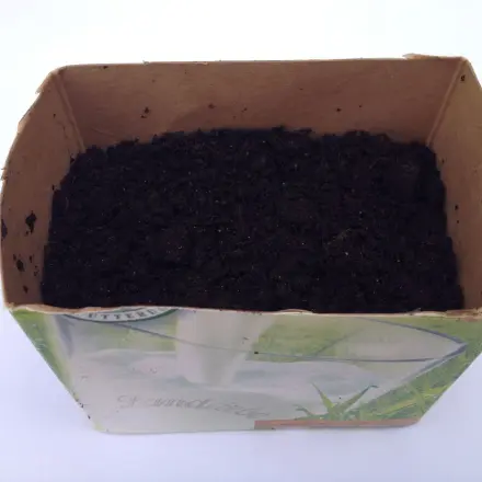 Tetrapack als Blumentopf - Kräuter aus der Milchtüte