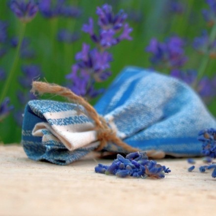Lavendel ernten und Duftsäckchen selber machen